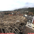 14_55-nest.jpg