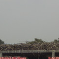 15_00-mast.jpg