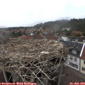 15_00-nest.jpg