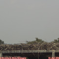 15_05-mast.jpg