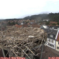 15_05-nest.jpg