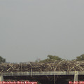 15_10-mast.jpg