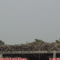 15_25-mast.jpg
