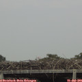 15_35-mast.jpg