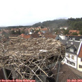 15_35-nest.jpg