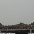 15_40-mast.jpg