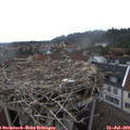 15_40-nest.jpg