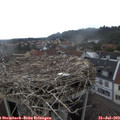 15_45-nest.jpg