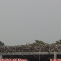 15_50-mast.jpg