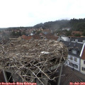 15_55-nest.jpg