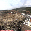 16_00-nest.jpg