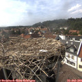 16_05-nest.jpg