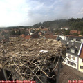 16_10-nest.jpg