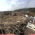 16_15-nest.jpg
