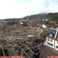 16_20-nest.jpg