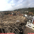 16_25-nest.jpg