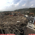 16_30-nest.jpg