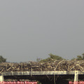 16_35-mast.jpg