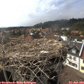 16_35-nest.jpg