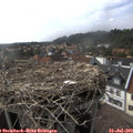 16_40-nest.jpg