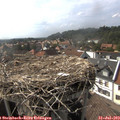16_45-nest.jpg