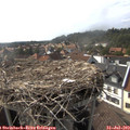 16_55-nest.jpg