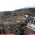 17_10-nest.jpg