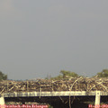 17_35-mast.jpg