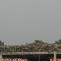 17_45-mast.jpg