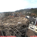 17_50-nest.jpg