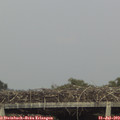 18_00-mast.jpg