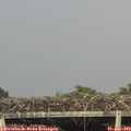 18_05-mast.jpg