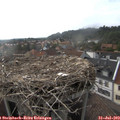 18_05-nest.jpg