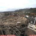 18_10-nest.jpg