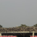 18_15-mast.jpg