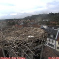 18_15-nest.jpg