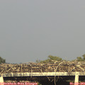 18_20-mast.jpg