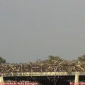 18_25-mast.jpg