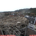 18_35-nest.jpg