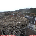 18_40-nest.jpg