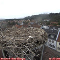 18_45-nest.jpg