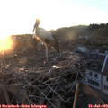 20_25-nest.jpg