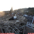 20_45-nest.jpg
