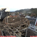 06_10-nest.jpg