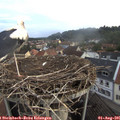 06_20-nest.jpg