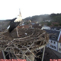 06_35-nest.jpg
