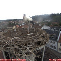 10_40-nest.jpg