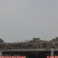13_50-mast.jpg