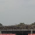 13_55-mast.jpg