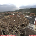 13_55-nest.jpg